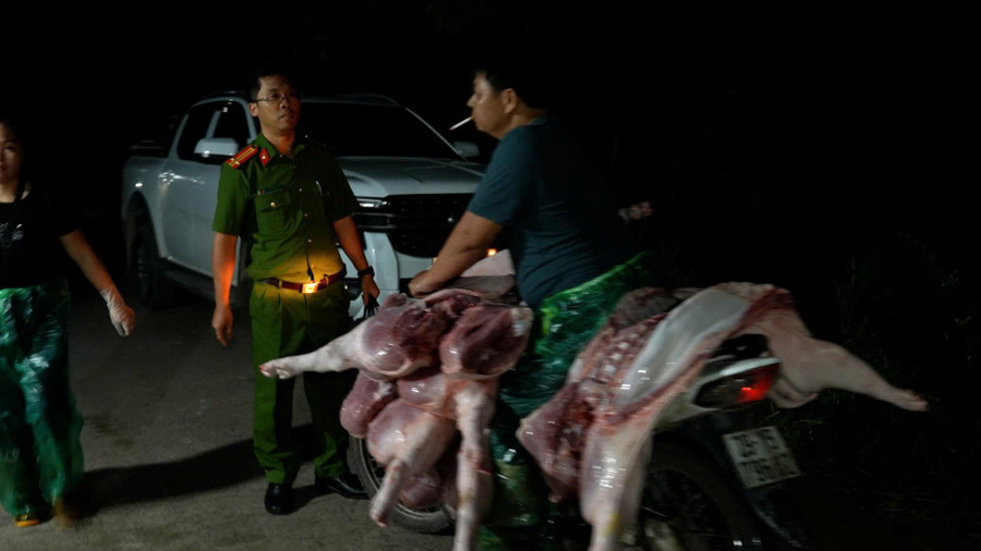 Thịt lợn được vận chuyển lợn ra chợ để tiêu thụ.