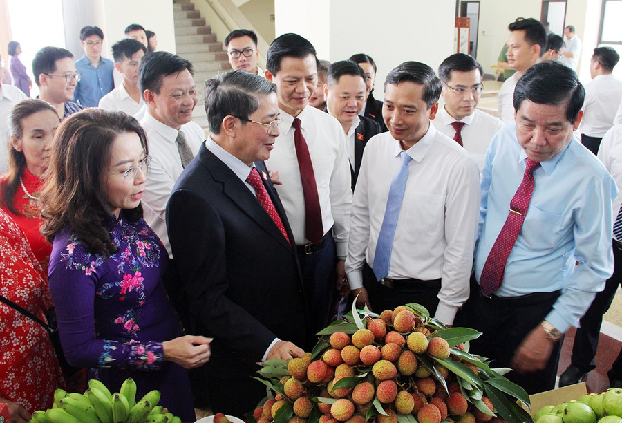Các đại biểu tham quan các gian hàng trưng bày sản phẩm nông sản của Bắc Giang. v-nen.jpg