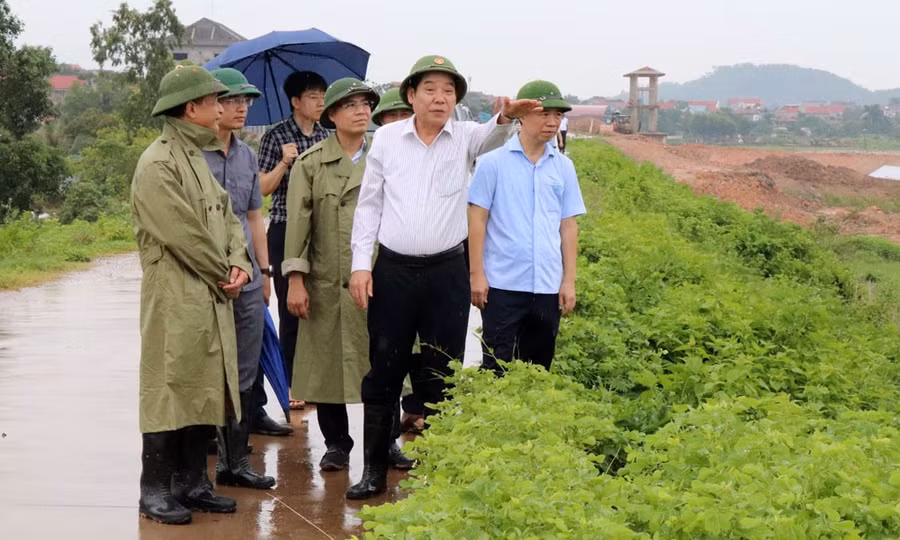 Ông Nguyễn Văn Gấu kiểm tra khu vực đê bối Lãng Sơn.