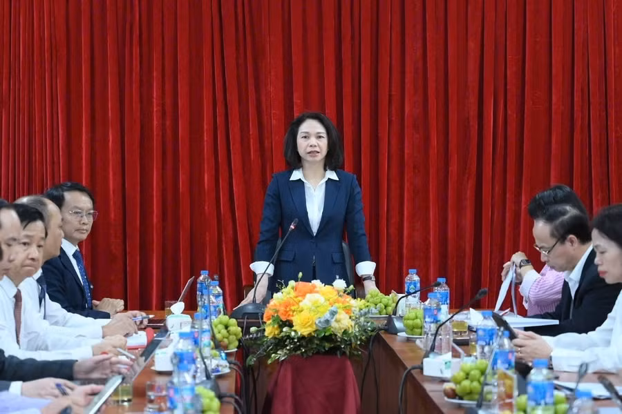 Phó Chủ tịch UBND TP. Hà Nội phát biểu kết luận và chỉ đạo.