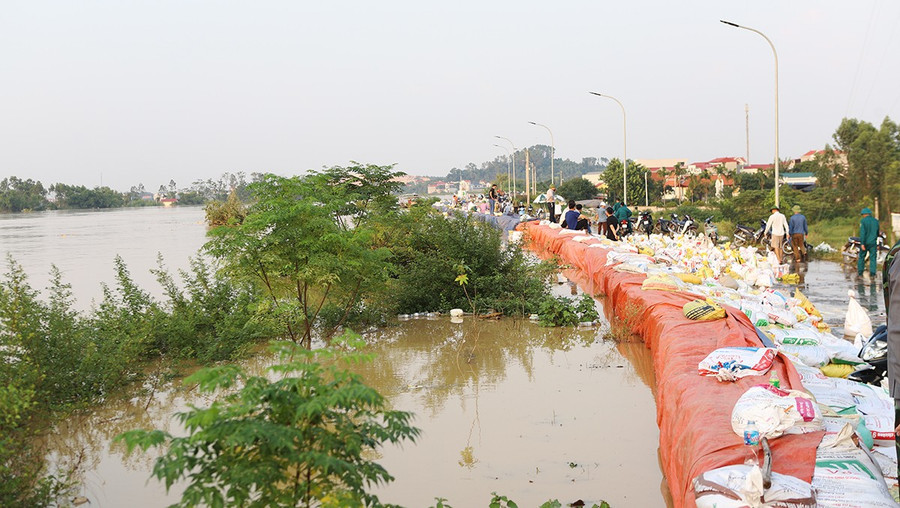 Tuyến đê bối Đẩu Hàn cơ bản được đắp cao, kiên cố đảm bảo an toàn. b1-1.jpg