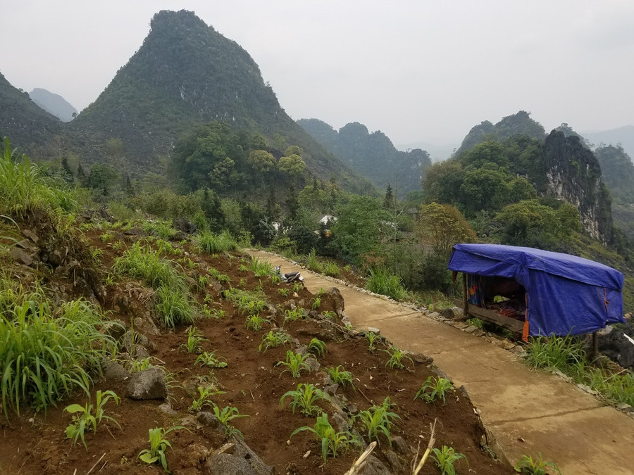 Chàng sinh viên dựng lều học online bên sườn núi ảnh 3 Chàng sinh viên dựng lều học online bên sườn núi ảnh 3