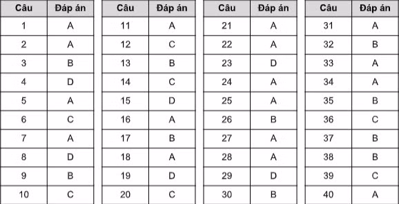 Gợi ý đáp án đề tham khảo thi tốt nghiệp THPT năm 2020 ảnh 6
