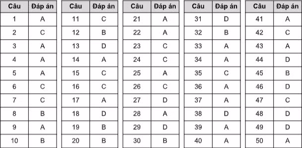 Gợi ý đáp án đề tham khảo thi tốt nghiệp THPT năm 2020 ảnh 3