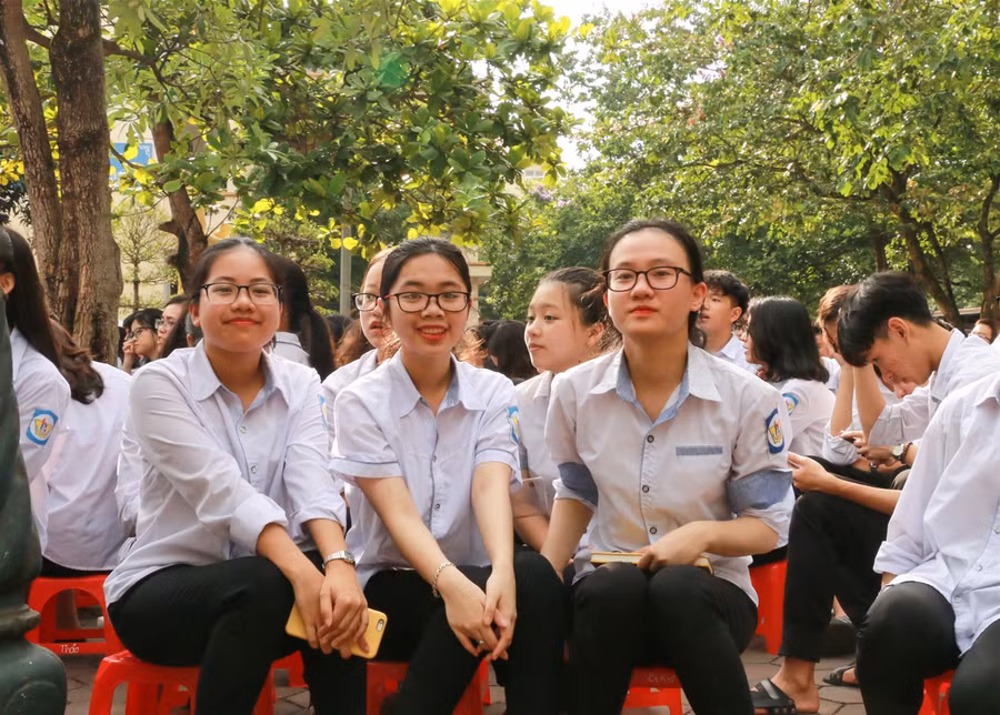 Rà soát, giữ bóng mát cây xanh là nhiệm vụ xuyên suốt năm học ảnh 4