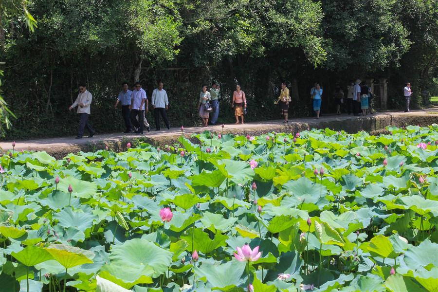 Làng Sen – địa chỉ đỏ giáo dục truyền thống cho thế hệ trẻ ảnh 5