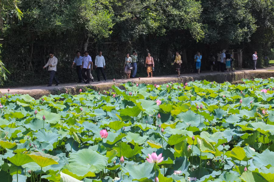 Làng Sen – địa chỉ đỏ giáo dục truyền thống cho thế hệ trẻ ảnh 5