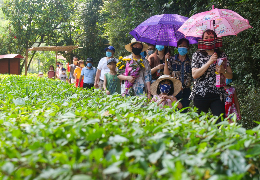 Làng Sen – địa chỉ đỏ giáo dục truyền thống cho thế hệ trẻ ảnh 1