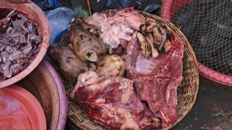 Lễ hội thịt chó diễn ra ở Trung Quốc bất chấp quy định mới về bảo vệ chó ảnh 3 Lễ hội thịt chó diễn ra ở Trung Quốc bất chấp quy định mới về bảo vệ chó ảnh 3
