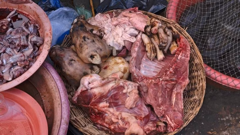Lễ hội thịt chó diễn ra ở Trung Quốc bất chấp quy định mới về bảo vệ chó ảnh 3