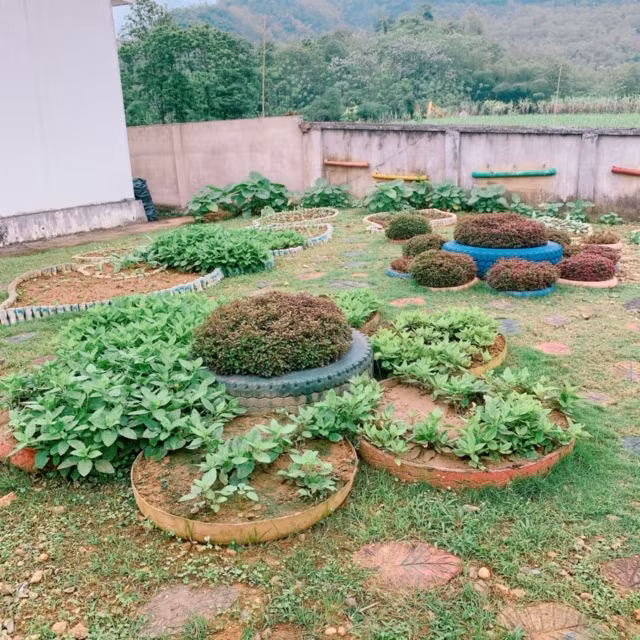 Trường mầm non Điền Trung: Điểm sáng tuyên truyền phòng chống dịch Covid-19 của ngành Giáo dục Bá Thước - Thanh Hóa ảnh 5