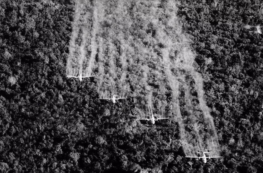 Ngày nạn nhân chất độc da cam 10/8/2020: Chung tay xoa dịu nỗi đau ảnh 1