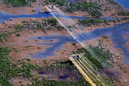 Ngày nạn nhân chất độc da cam 10/8/2020: Chung tay xoa dịu nỗi đau