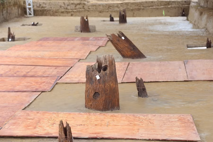 Hải Phòng: Khởi công Dự án tuyến đường vào Khu bảo tồn bãi cọc Cao Quỳ ảnh 2