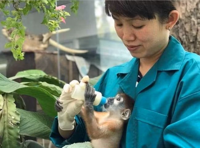 Thảo Cầm Viên - vườn thú 156 tuổi kêu gọi cộng đồng hỗ trợ