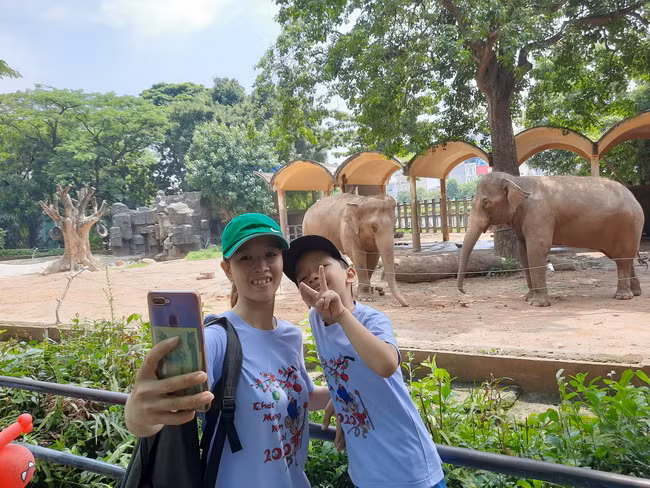 Thảo Cầm Viên - vườn thú 156 tuổi kêu gọi cộng đồng hỗ trợ ảnh 3