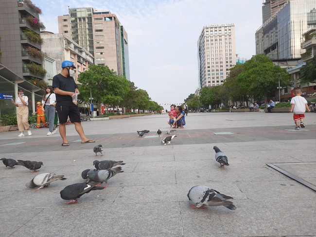 Không gian hiếm gặp ở Sài Gòn trước lễ 30/4 ảnh 12