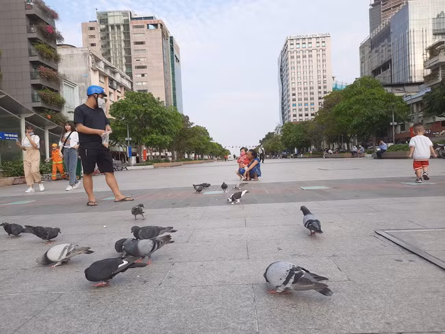 Không gian hiếm gặp ở Sài Gòn trước lễ 30/4 ảnh 12