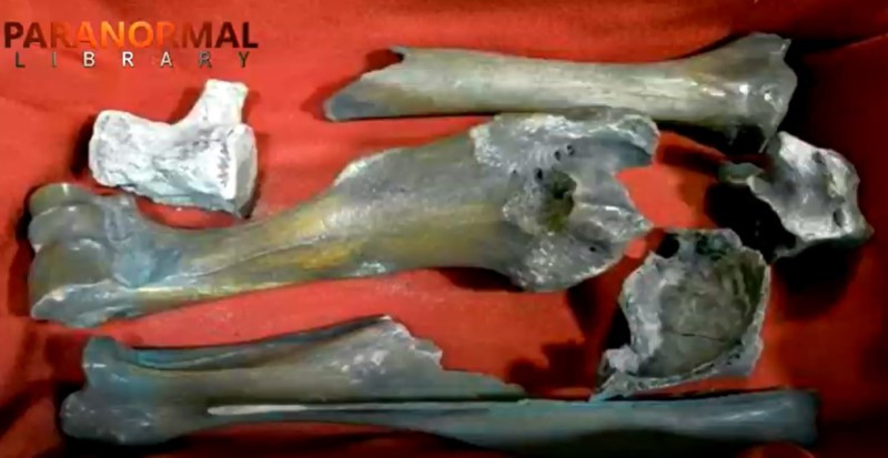 Nàng tiên cá: Thần thoại nghìn năm