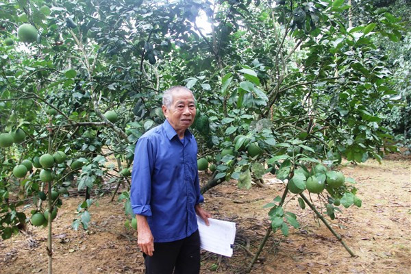 Ông Lê Hồng Tư cho biết, “hàng bưởi lâu năm của gia đình ông sẽ bị chặt bỏ khi xây dựng dự án”. Ông Lê Hồng Tư cho biết, “hàng bưởi lâu năm của gia đình ông sẽ bị chặt bỏ khi xây dựng dự án”.