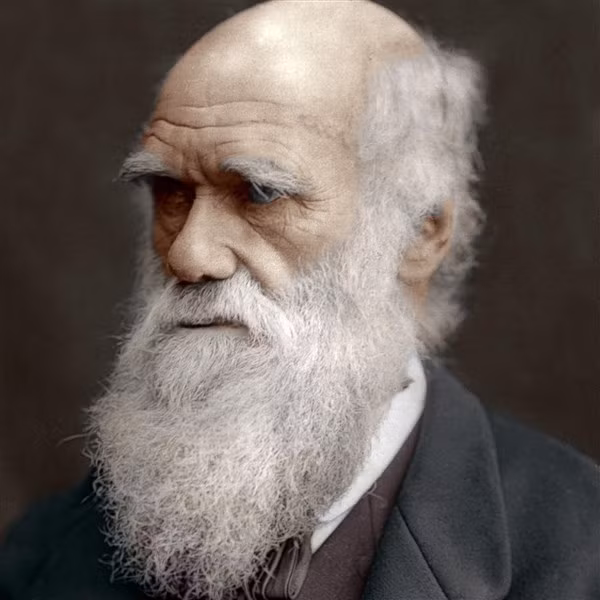 Sở thích ăn uống lạ lùng của Darwin ảnh 1