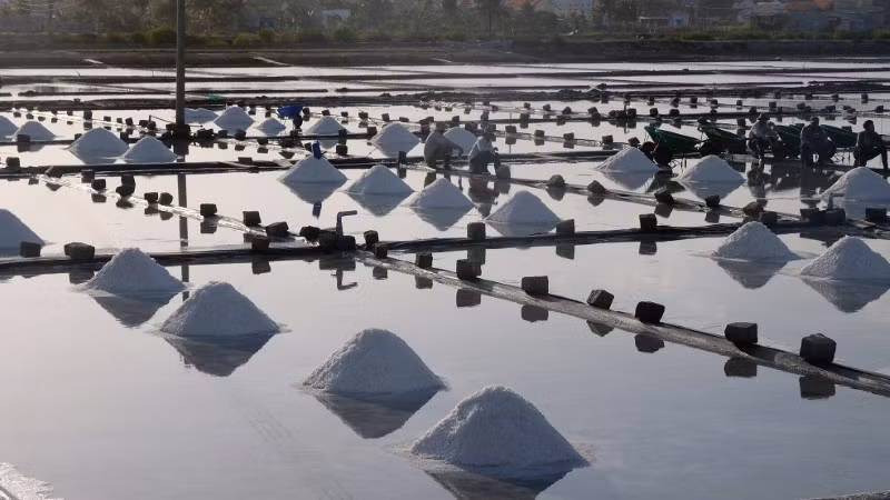 Đời Năm Hổ đỏ au vì “vàng trắng”