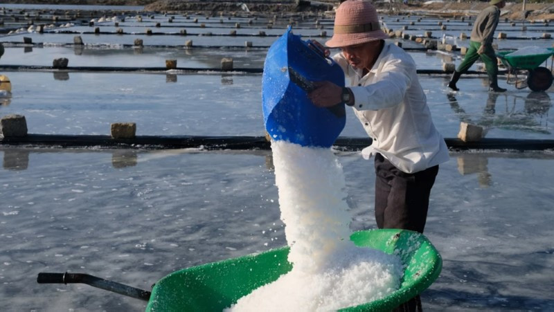 Diêm dân luôn làm việc dưới nắng gắt Diêm dân luôn làm việc dưới nắng gắt