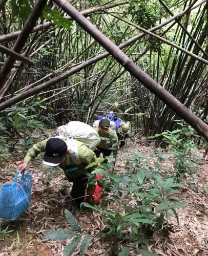 “Đội đặc nhiệm” giữa núi rừng Pù Mát ảnh 3 “Đội đặc nhiệm” giữa núi rừng Pù Mát ảnh 3