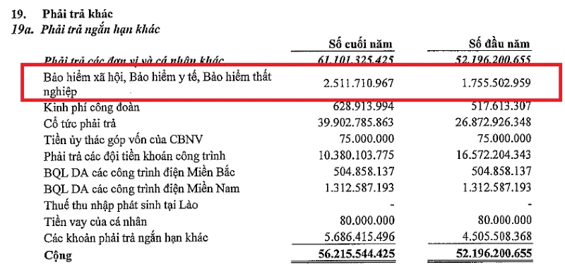 CTCP Sông Đà 11 nợ và chậm nộp BHXH cho người lao động