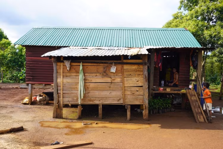 Vào tâm dịch bạch hầu ảnh 2