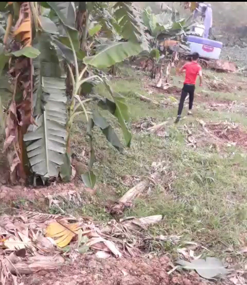 Bắc Giang: Vườn cây ăn quả của người dân bị phá hủy toàn bộ ảnh 1