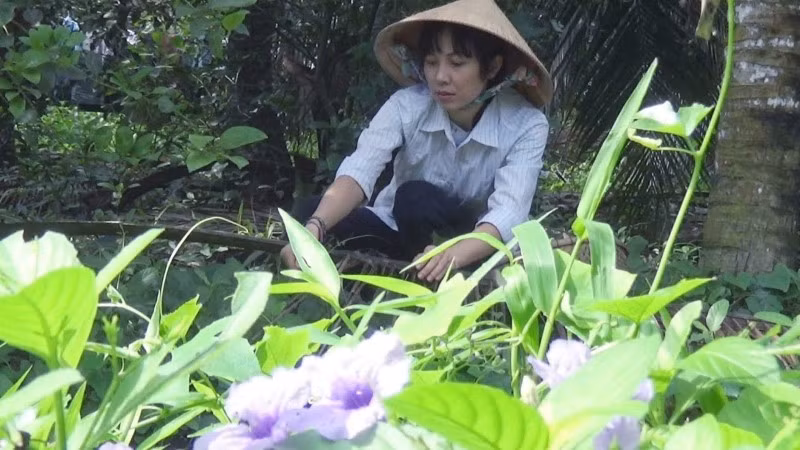 Ngôi nhà có cửa bằng lăng...