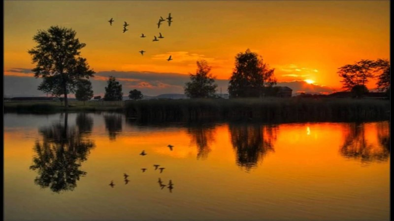 Những ngày ở quê…