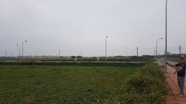 Giám đốc trung tâm đấu giá đất bị bắt từng là nạn nhân của Đường “Nhuệ”? ảnh 1