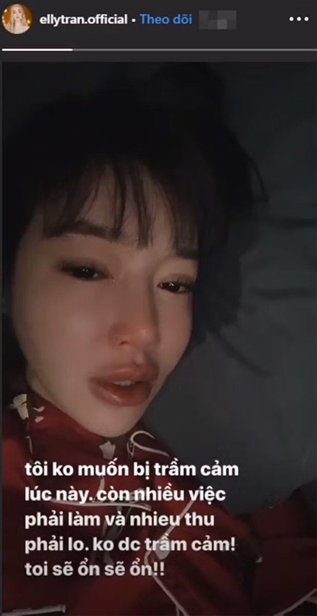 Elly Trần bất ngờ tiết lộ đã lâu lắm rồi không được gặp con ảnh 2