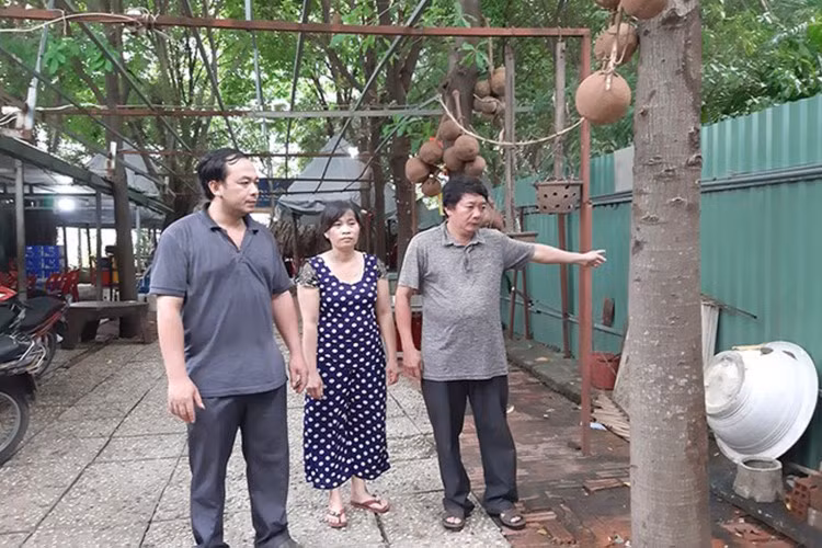 Vụ vợ Bị đơn định nhảy lầu tự tử ở TPHCM: Nguyên đơn có quan hệ với tòa án? ảnh 1