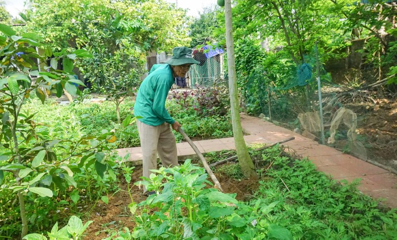 Nghệ An: Những cựu binh xin hỗ trợ… ngược ảnh 2