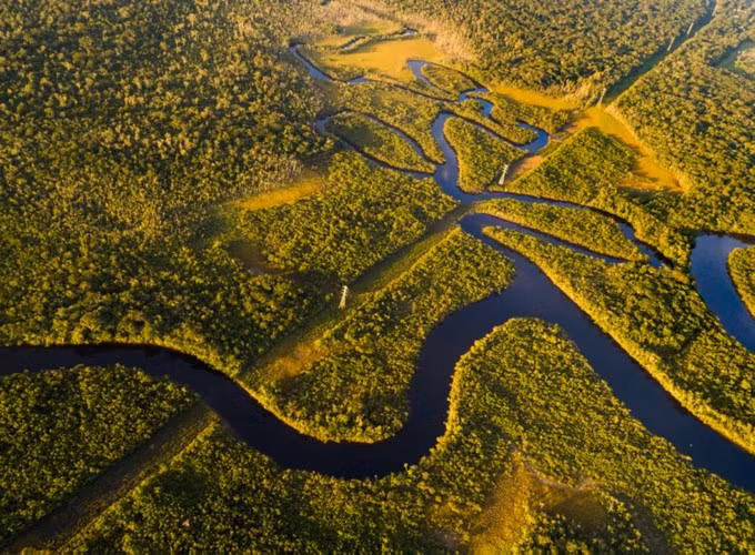 “Bom nổ chậm” gây đại dịch mới