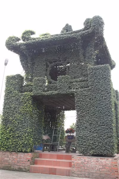 Từ Gia Trang ấp đến làng tỷ phú cây cảnh ảnh 1