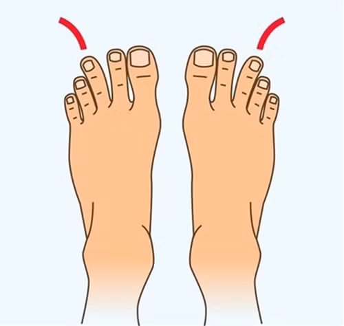 Nhìn ngón chân dài ngắn sẽ dự đoán cực chuẩn tương lai của bạn sang hay hèn ảnh 2
