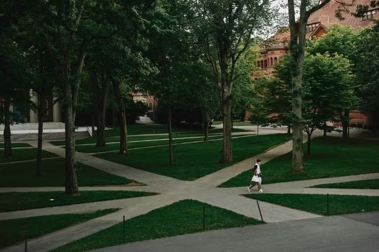 Hủy bỏ quyết định trục xuất du học sinh: “Giấc mơ Mỹ” có trở lại?