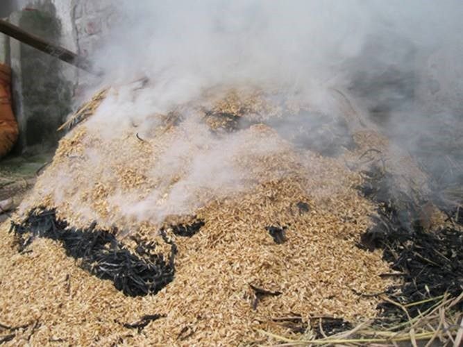 Trấu là thứ không thể thiếu để giữ nhiệt cho cá chín.