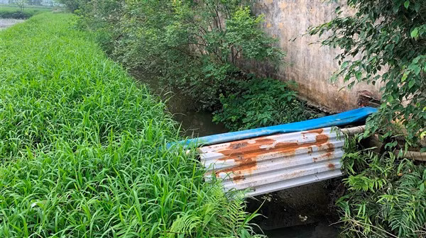 Trại lợn của C.P Việt Nam bị “tố” xả thải ảnh 2