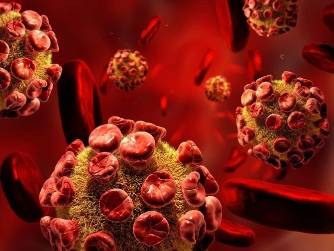 Virus biến tế bào vật chủ thành “nhà máy”