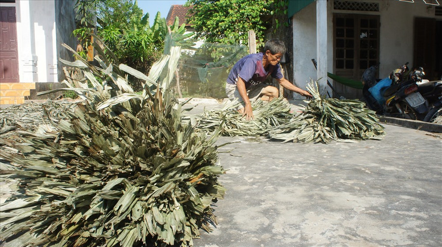 Thương lắm áo tơi Yên Lạc… ảnh 1 Thương lắm áo tơi Yên Lạc… ảnh 1