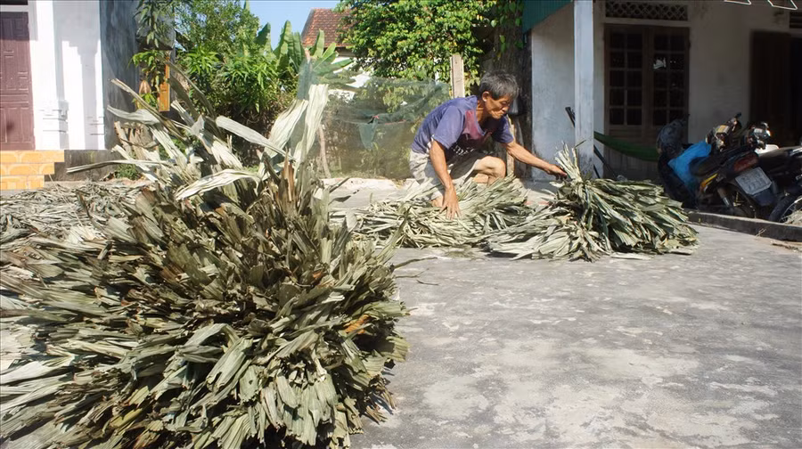 Thương lắm áo tơi Yên Lạc… ảnh 1