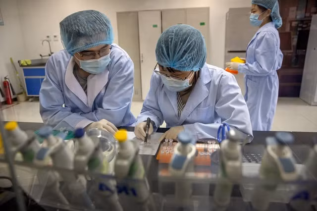 Thế giới hiện có 130 ứng cử vaccine Covid-19