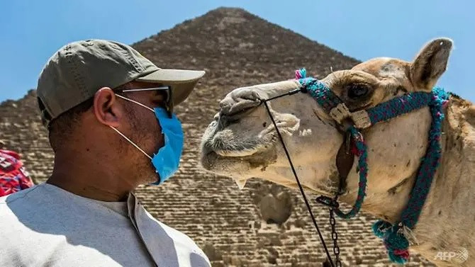 Số ca mắc Covid-19 toàn cầu vượt 10,7 triệu, Mỹ gom thuốc điều trị