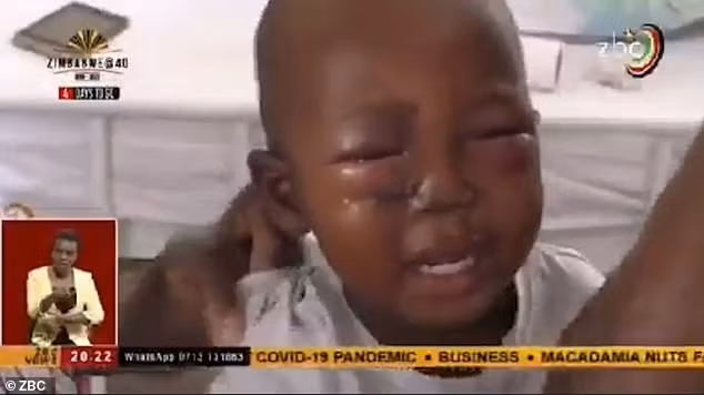 Bà mẹ tay không cứu con 3 tuổi khỏi hàm cá sấu ảnh 1