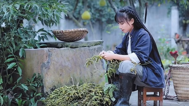 Đề thi gây tranh cãi khi đề cập tới vlogger nổi tiếng Lý Tử Thất ảnh 1